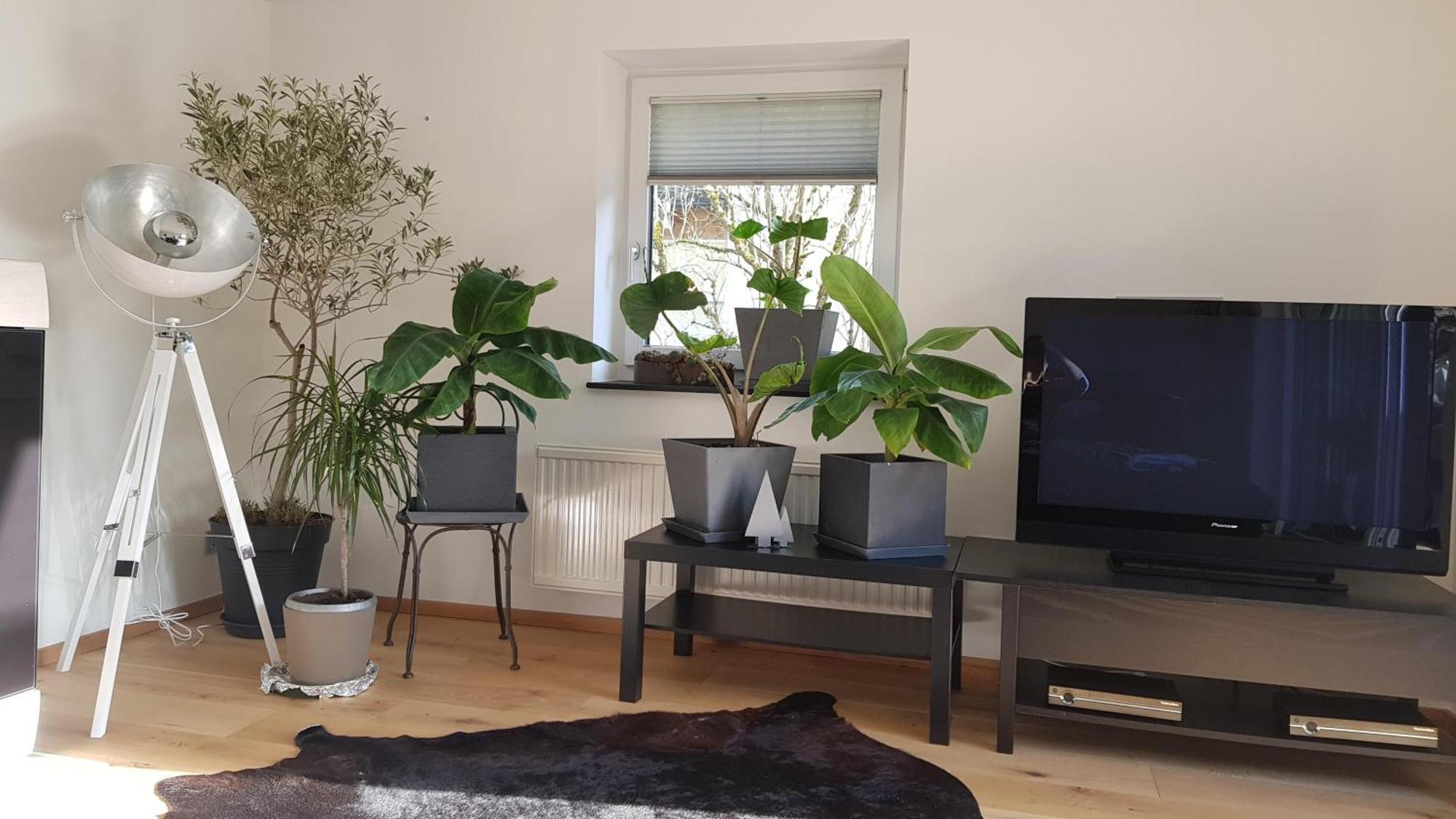 Jagd Trifft Moderne & Boutique Jardin Ferienhaus อันนาแบร์ อิม ลัมเมอร์ทาล ภายนอก รูปภาพ